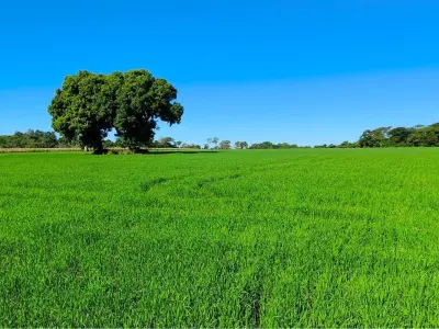Land for sale in Fram, Itapúa 3