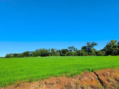 Land for sale in Fram, Itapúa 4