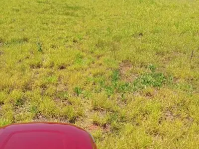 Terreno en venta en Granja San Miguel, km 12 Acaray — 360 m² con acceso al río 3