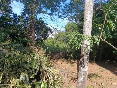 Terreno à venda em Guayaibí-Ty, Itauguá | 360 m² 5