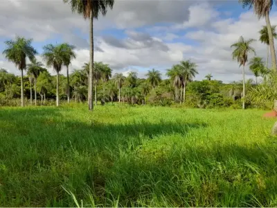 Terreno à venda em Guazú Virá, Itauguá 4