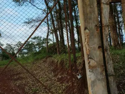 Terreno en venta en Hernandarias — 10 hectáreas para desarrollar 2