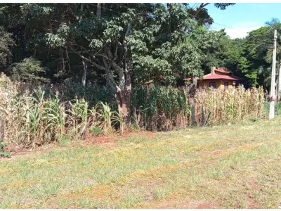 Land for sale in Hernandarias, Alto Paraná 3