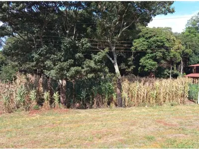 Land for sale in Hernandarias, Alto Paraná 4
