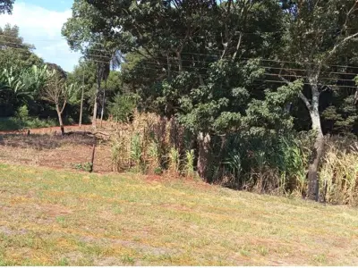 Land for sale in Hernandarias, Alto Paraná 5