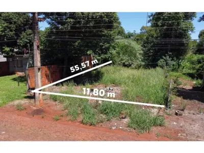 Land for sale in Hernandarias, Alto Paraná 4