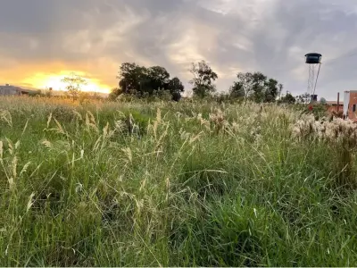 Land for sale in Hernandarias, San Miguel neighborhood 2