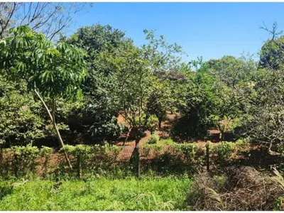 Terreno à venda em Hohenau, Itapúa 3