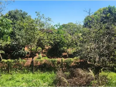 Terreno à venda em Hohenau, Itapúa 4