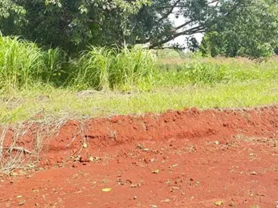 Terreno en venta en Hohenau, Itapúa 3