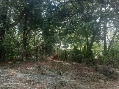 Terreno à venda em Isla Aveiro, Limpio 4
