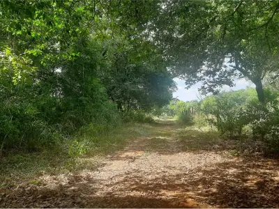 Terreno à venda em Isla Aveiro, Limpio 2