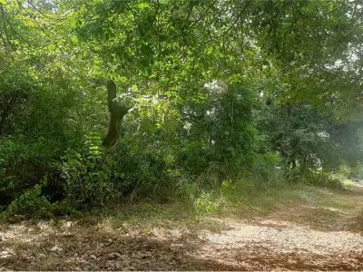 Terreno à venda em Isla Aveiro, Limpio 3