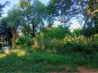 Terreno à venda em Isla Bogado, Luque 3
