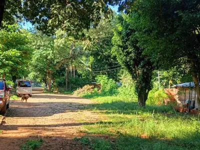 Terreno à venda em Isla Bogado, Luque 4