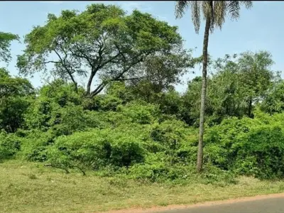 Terreno à venda em Isla Valle, Areguá - 1.765 m² 3