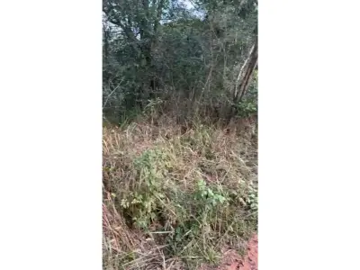 Terreno en venta en Isla Valle, Areguá 2