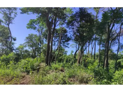 Terreno à venda em Ita Angu'a, Encarnación 2