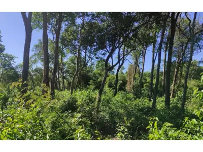 Terreno à venda em Ita Angu'a, Encarnación 3