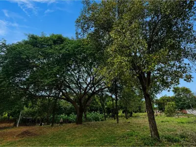 Terreno à venda em Itá Enramada, Assunção 2