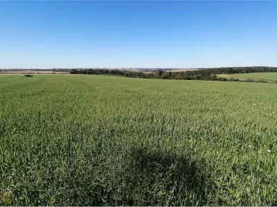 Terreno en venta en Itapúa Poty, Itapúa 3