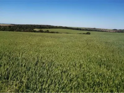 Terreno en venta en Itapúa Poty, Itapúa 4