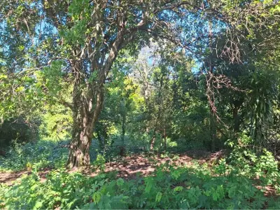 Terreno à venda em Itauguá, 1.102 m² 3