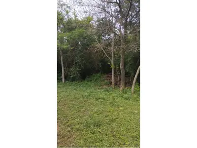 Terreno à venda em Itauguá, 3.740 m² 2