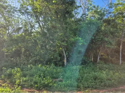 Terreno à venda em Itauguá, 3.740 m² 4