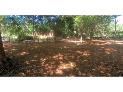Terreno à venda em Ybyratý, Itauguá 4