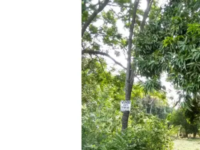 Terreno à venda em Itauguá, Central 3