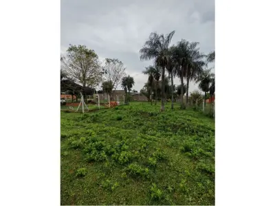 Terreno à venda em Itauguá, Central, 360 m² 3