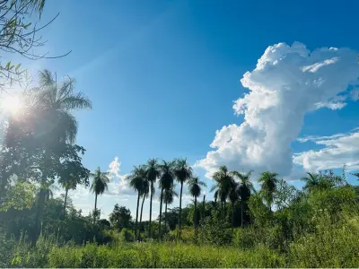 Terreno à venda em Itauguá, Central 3