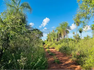 Terreno à venda em Itauguá, Central 4