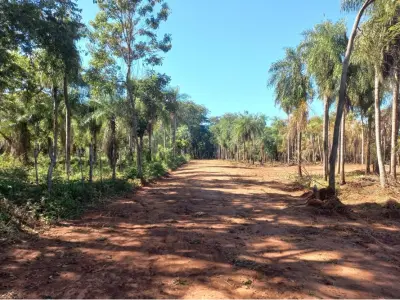 Terreno à venda em Itauguá Guazú, 19.000 m² 4