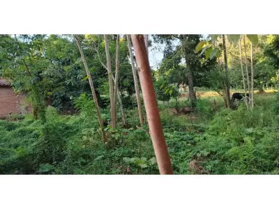 Terreno à venda em Itauguá Guazú, Itauguá 3