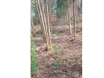 Terreno à venda em Itauguá Guazú, Itauguá 4