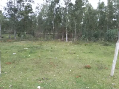 Land for sale in Iturbe, Guairá 4