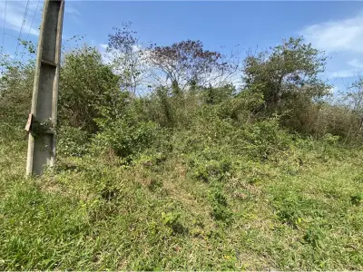 Terreno à venda em J. A. Saldivar, Ruta 1 km 28 4