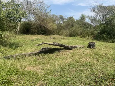 Terreno à venda em J. A. Saldivar, Central 3