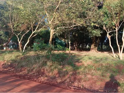 Land for sale in José Domingo Ocampos, Caaguazú 4