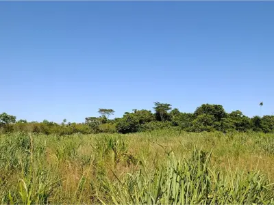 Terreno à venda em Juan Emilio O'Leary, Alto Paraná 3