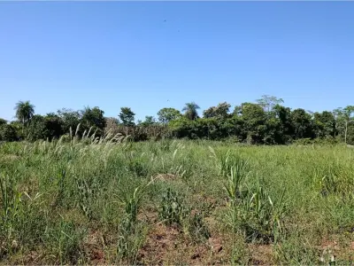 Terreno à venda em Juan Emilio O'Leary, Alto Paraná 4