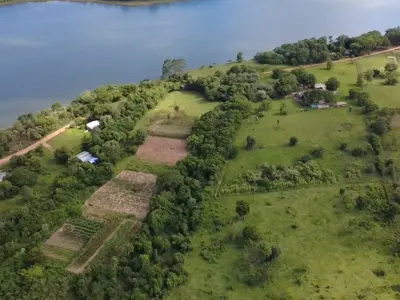 Terreno en venta en Juan Emilio O'Leary, Alto Paraná 4