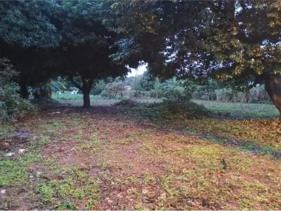 Terreno à venda em Julián Augusto Saldivar, Central 4