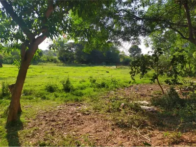 Terreno à venda em Julián Augusto Saldivar, Central 3