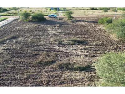Land for sale in Kleefeld, Loma Plata 2