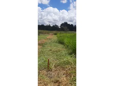 Terreno à venda em Km 16 Monday, Minga Guazú 4