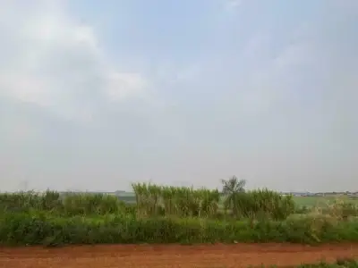 Terreno en venta en Km 19 Acaray, Minga Guazú 2
