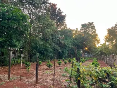 Terreno en venta en Km 5 Monday, Presidente Franco 2